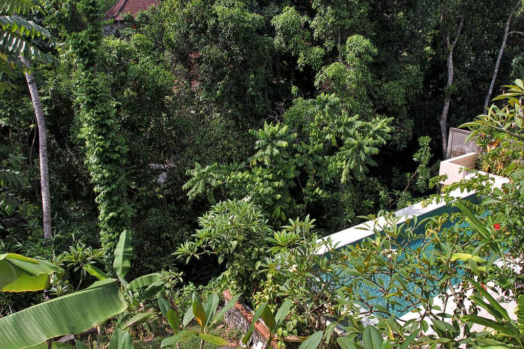 Bismajaya Bungalow Ubud Eksteriør billede